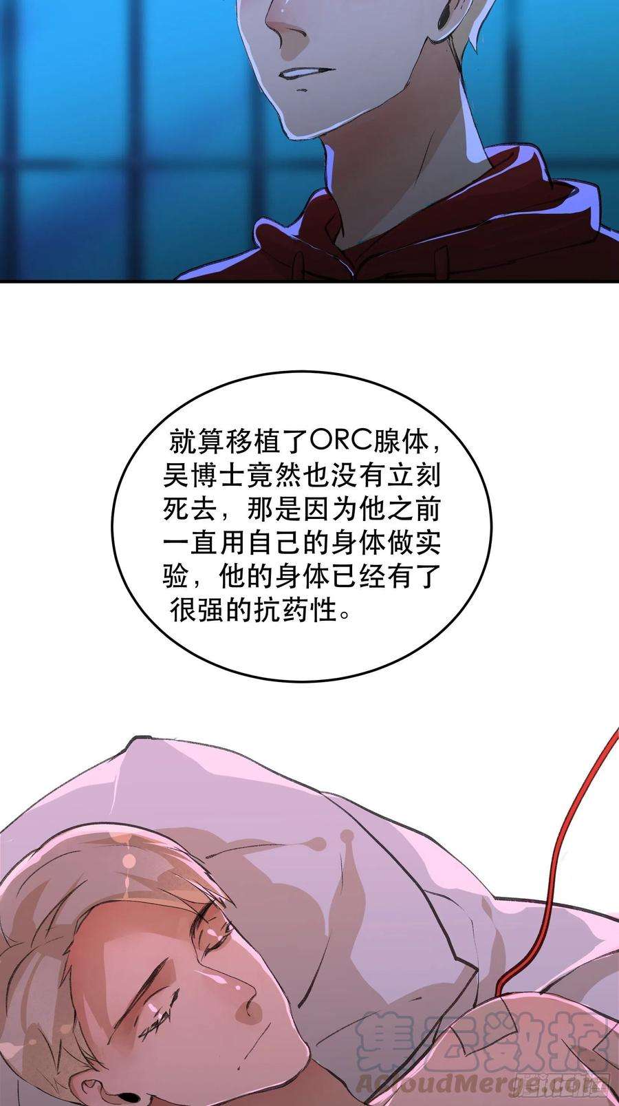 40.jpg