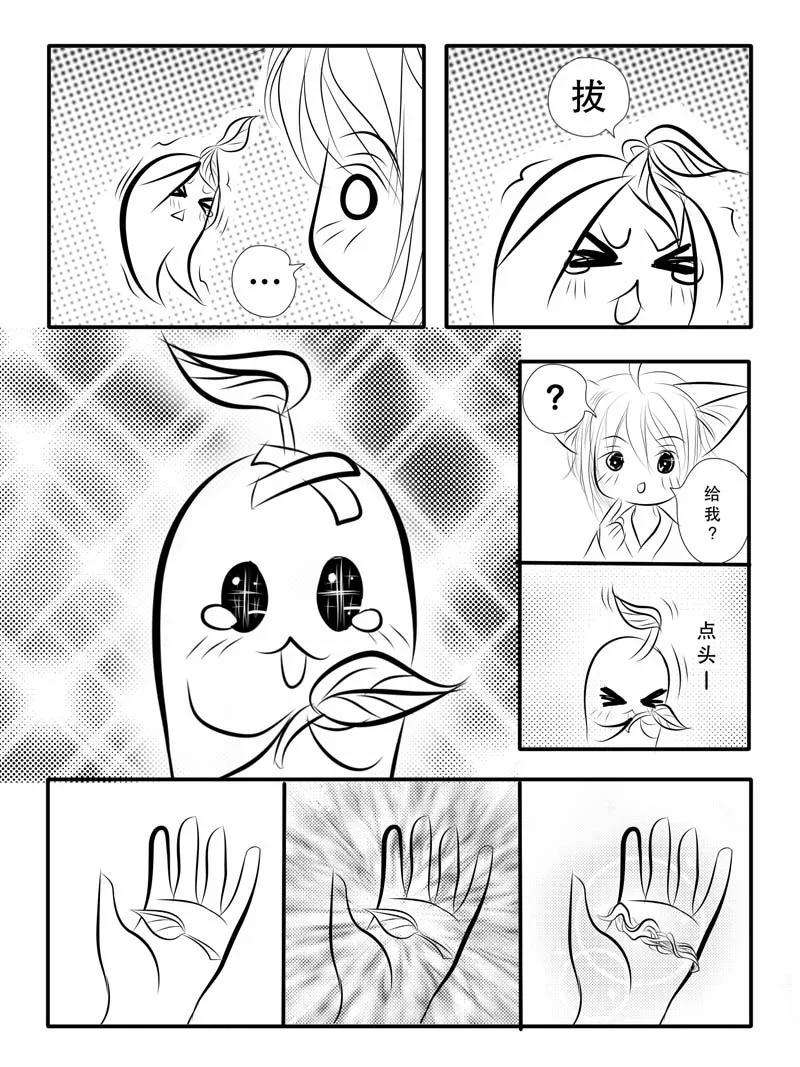 5.jpg
