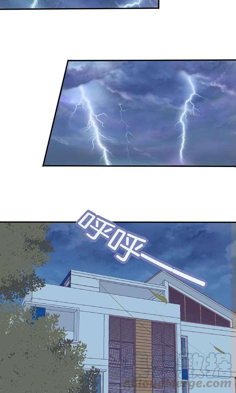 29.jpg