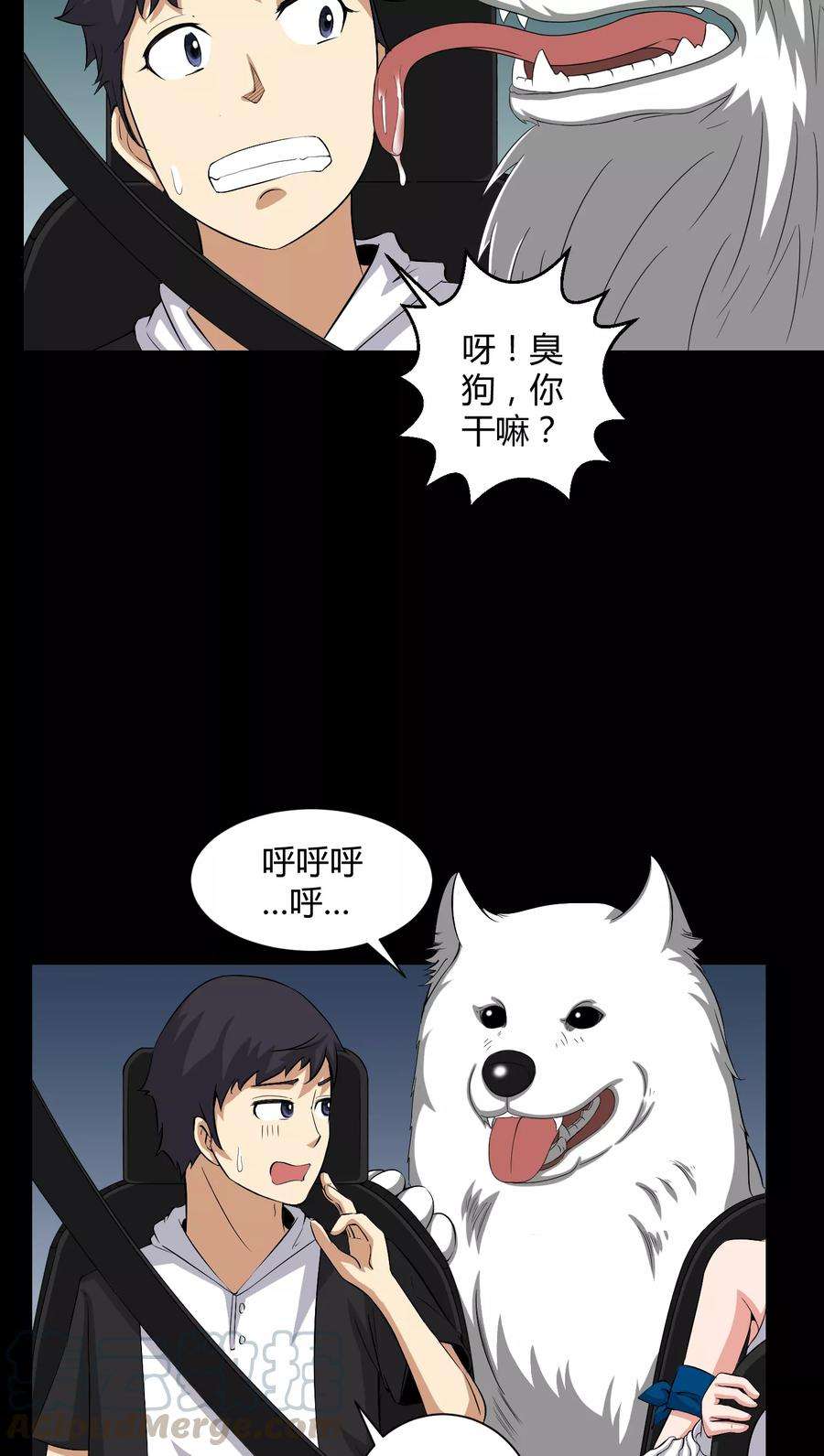 17.jpg