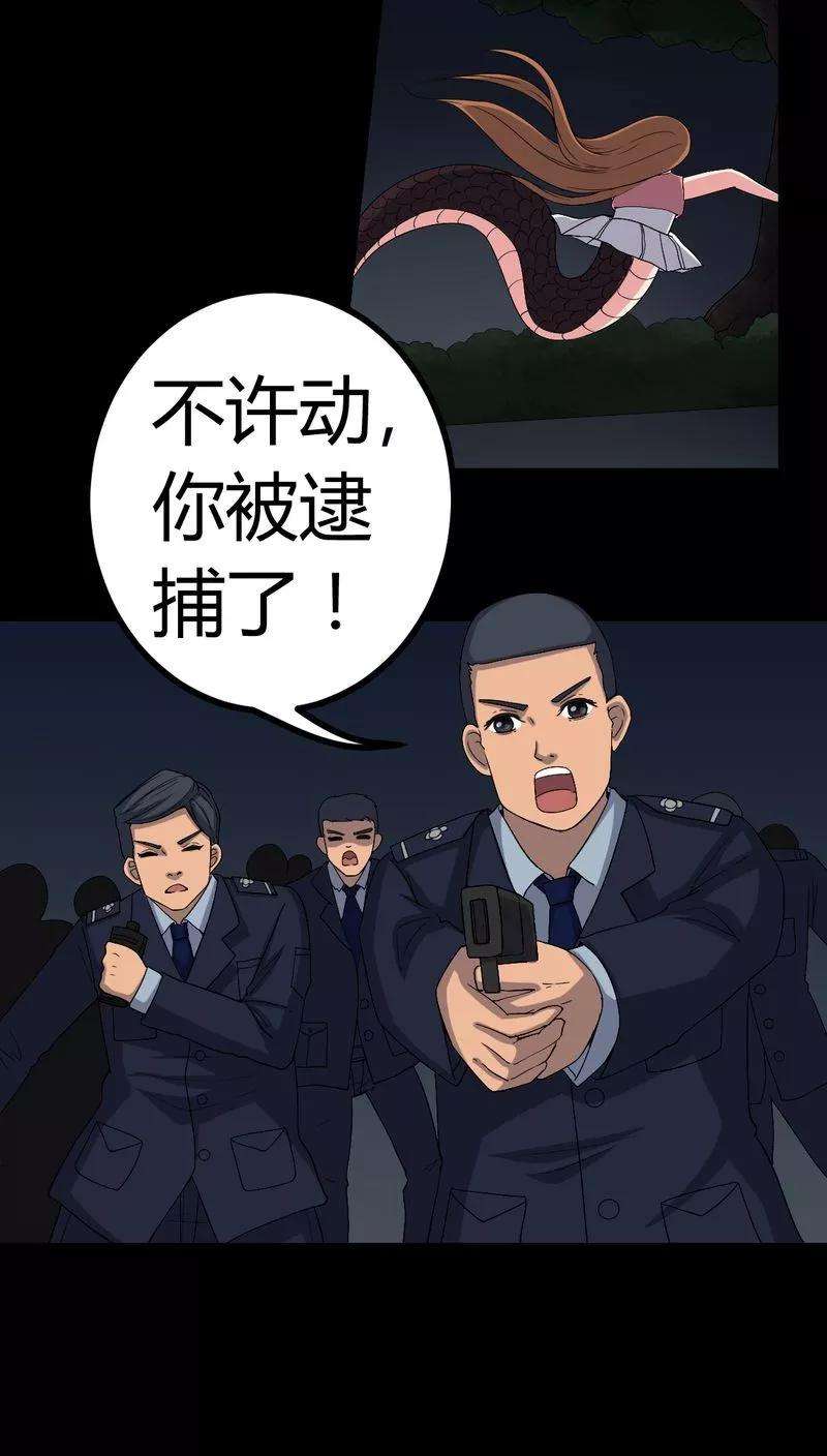 27.jpg
