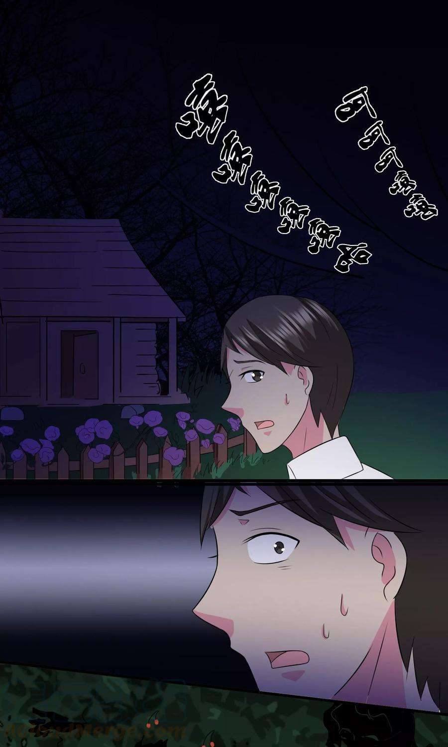 17.jpg
