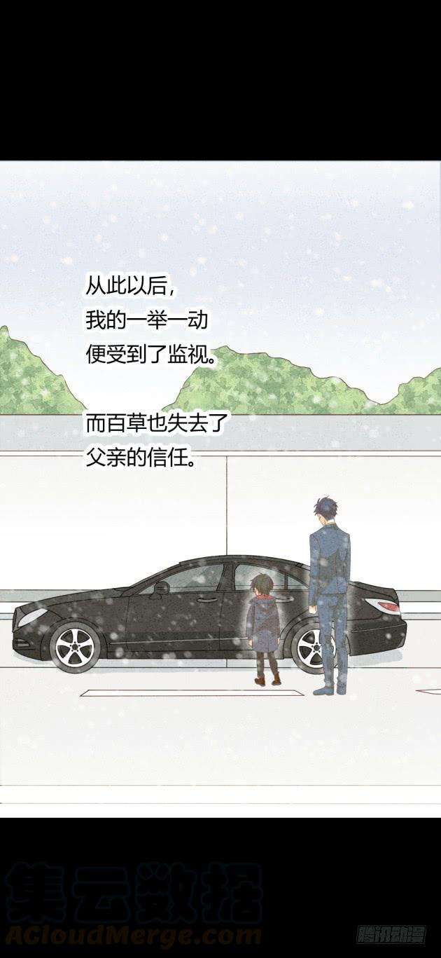 61.jpg
