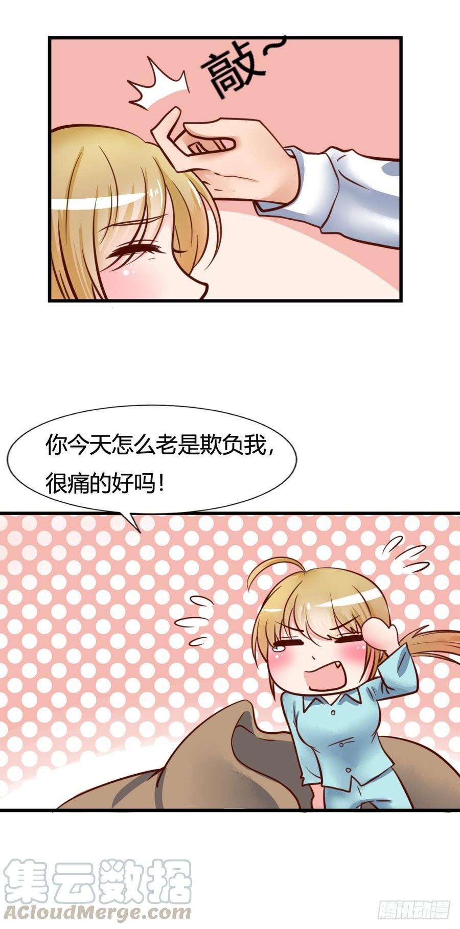 41.jpg