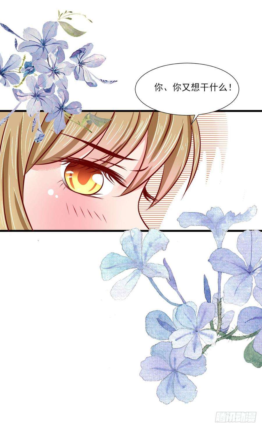 17.jpg