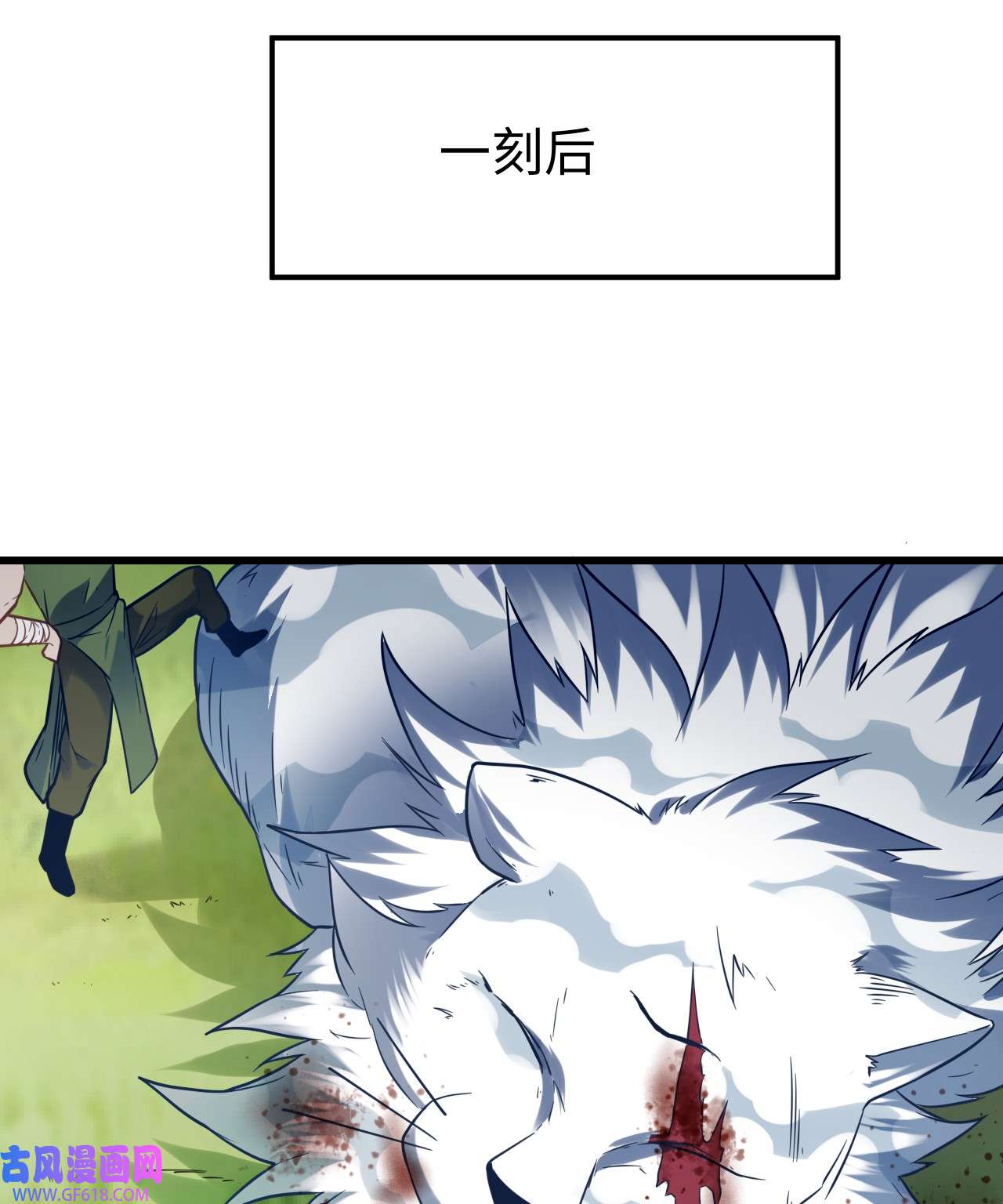 41.jpg