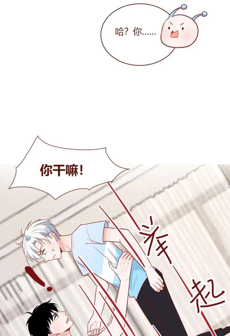 17.jpg