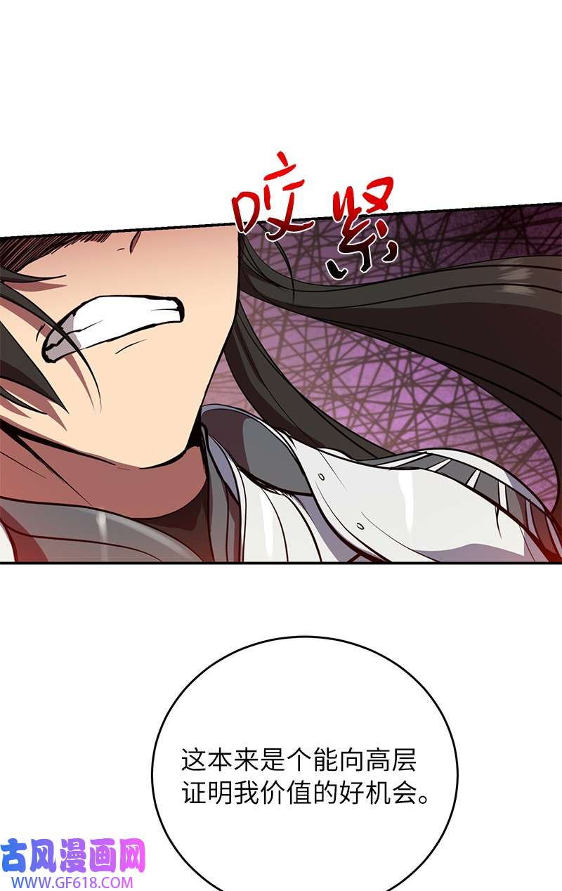 41.jpg