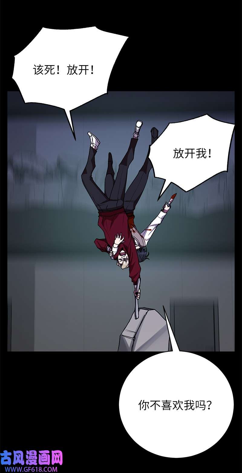 41.jpg