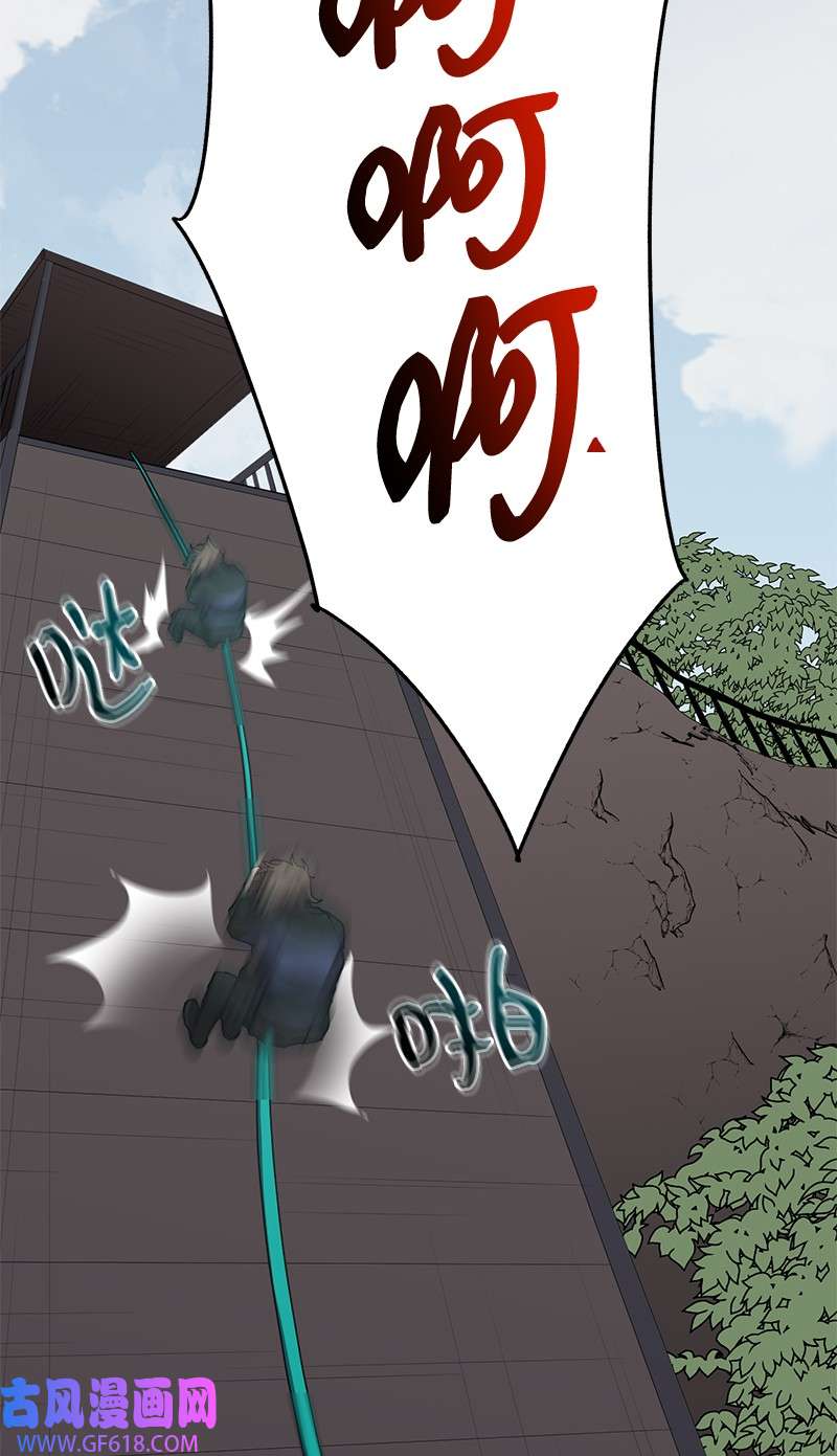 53.jpg