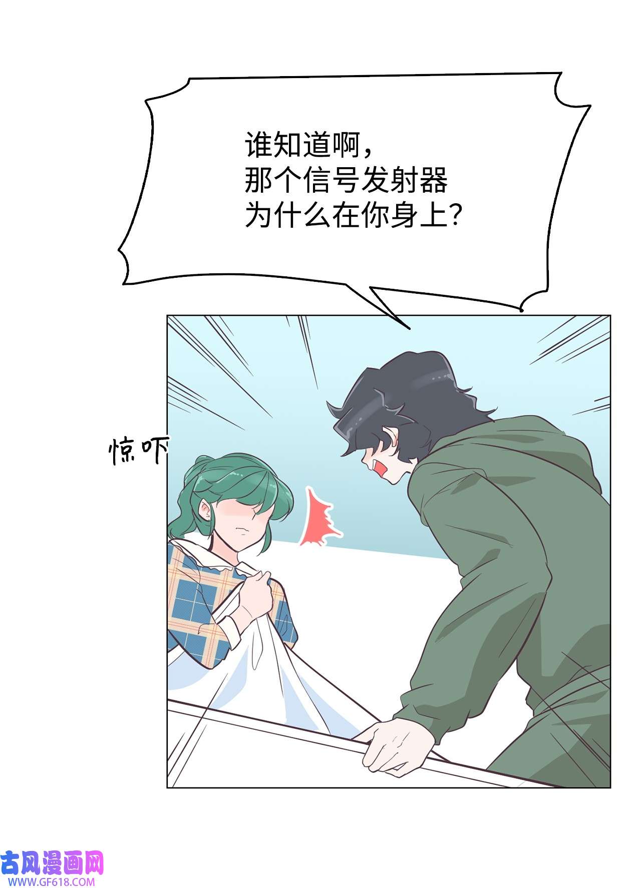 11.jpg