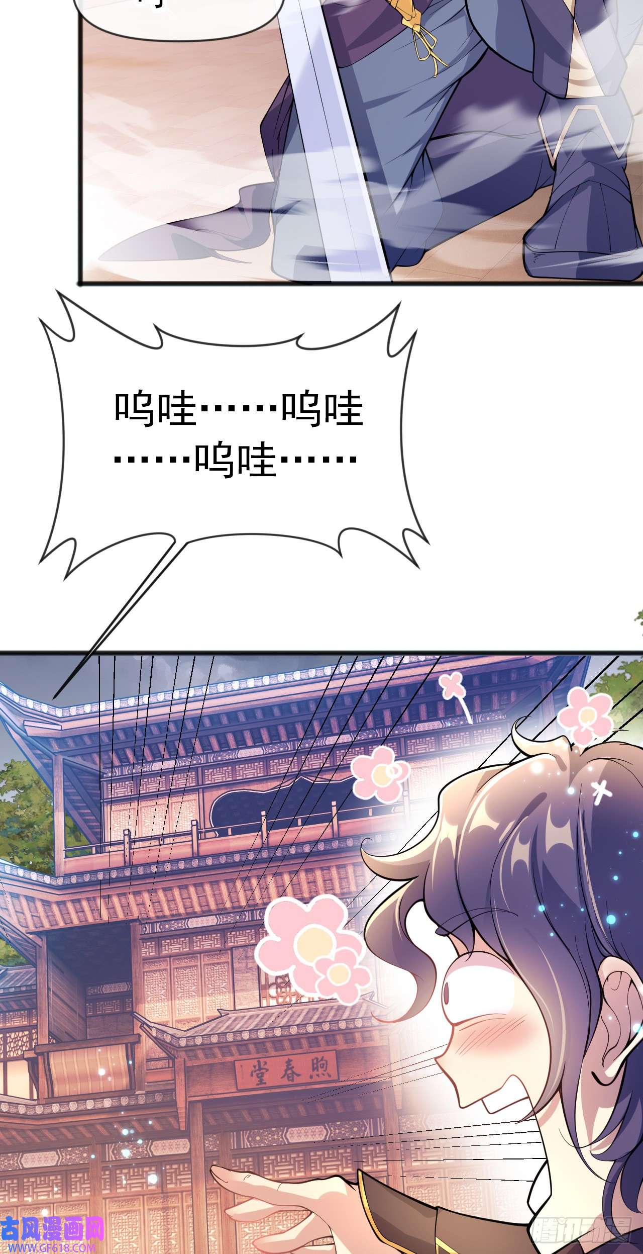 11.jpg