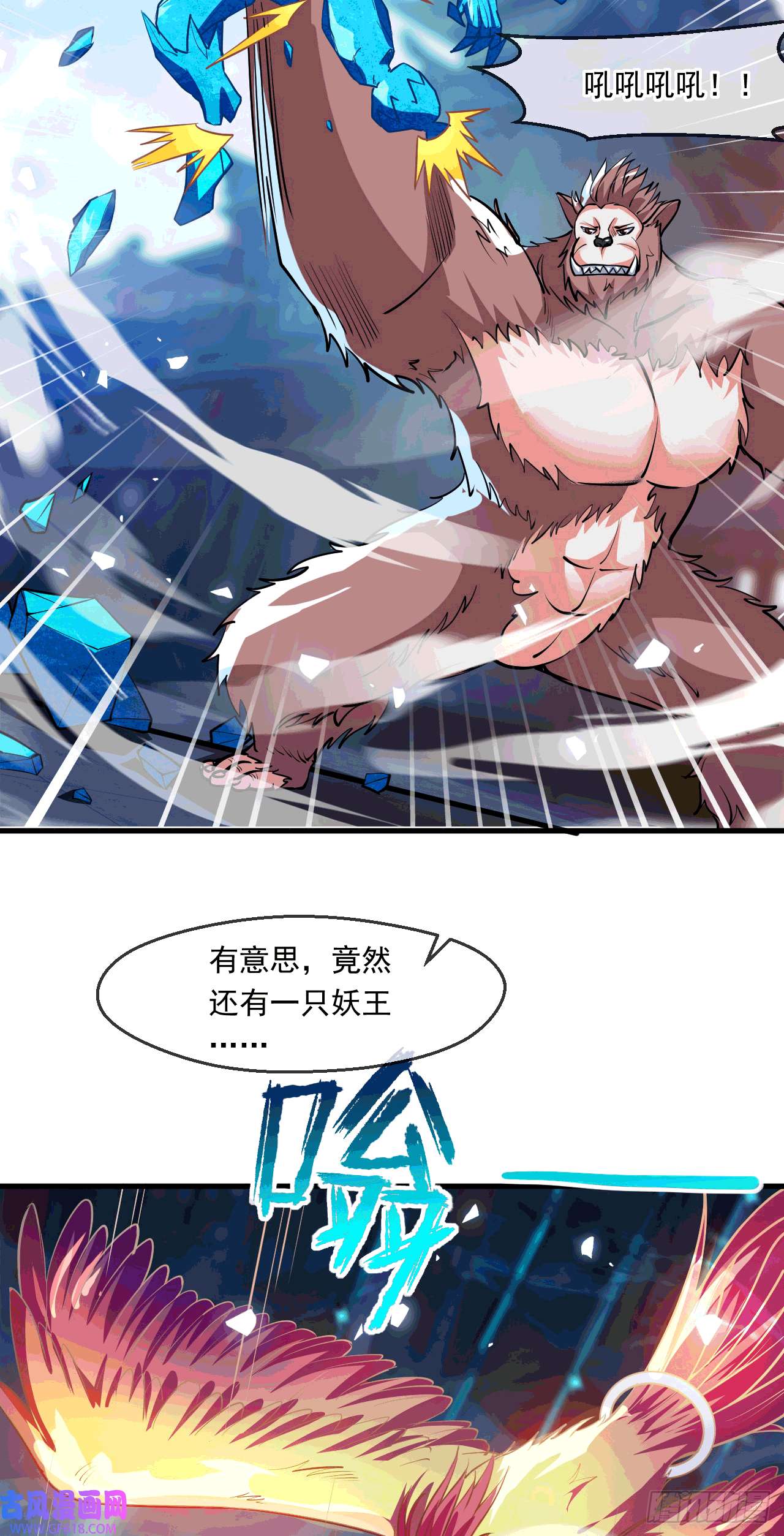 11.jpg