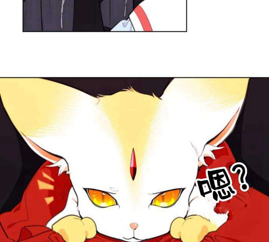 71.jpg