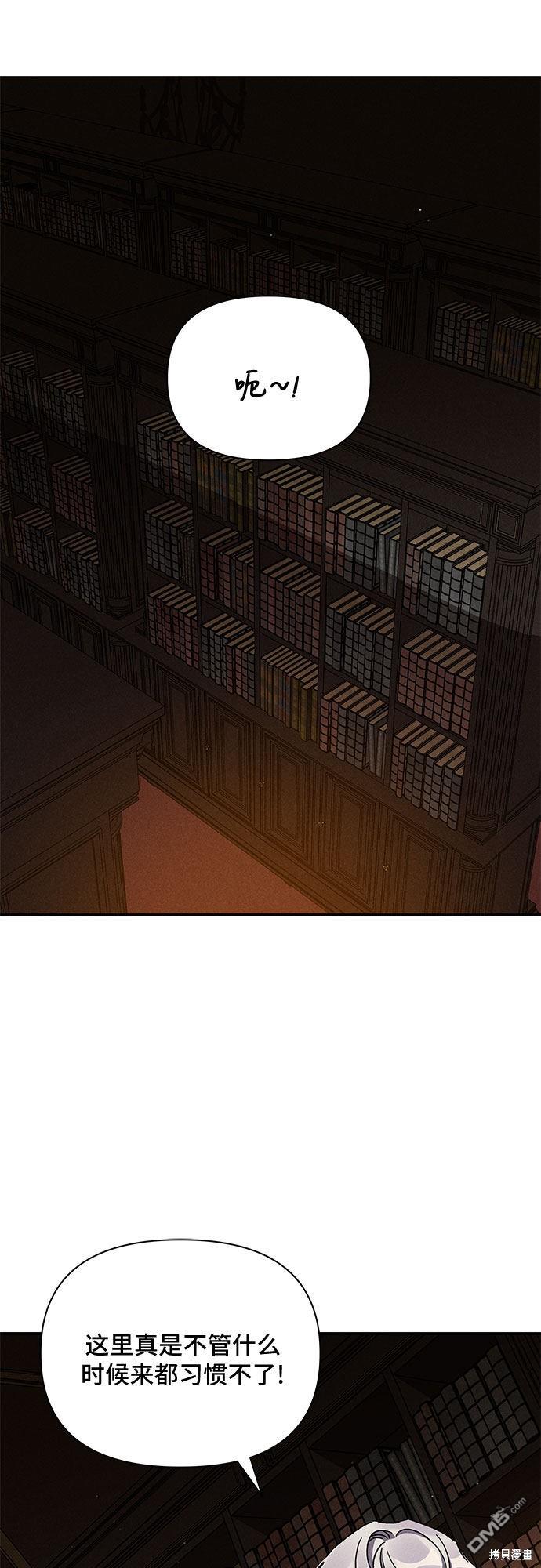 41.jpg