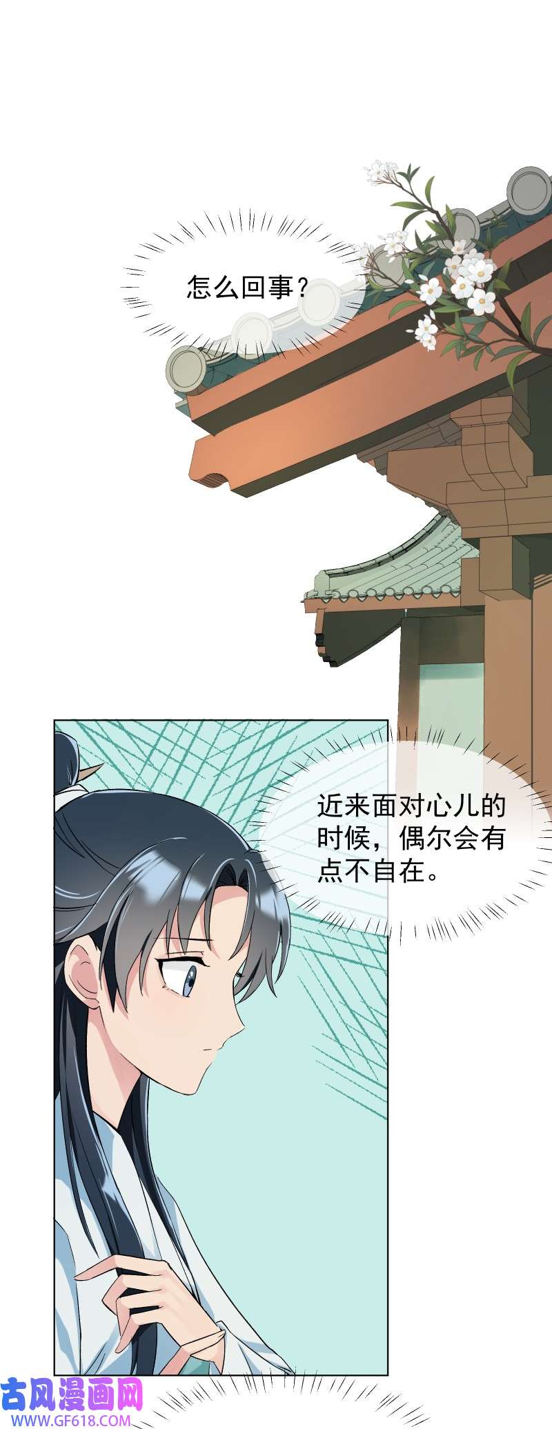 20.jpg