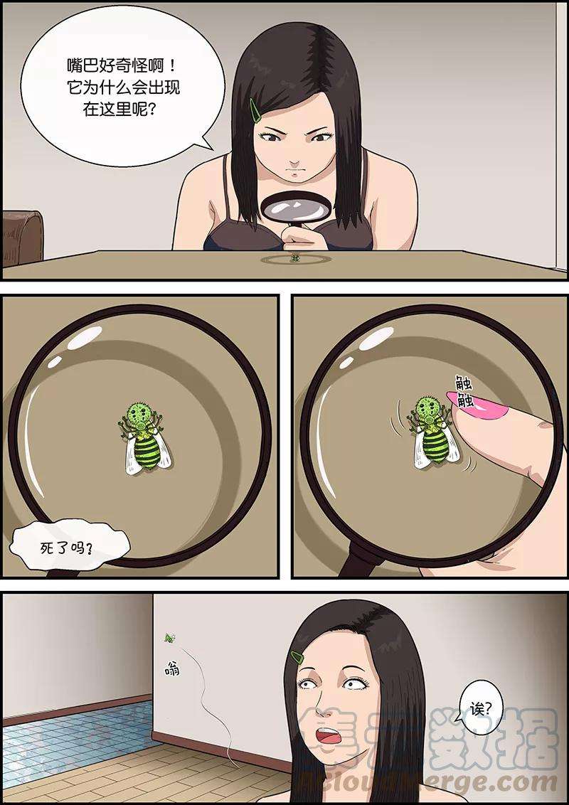 11.jpg