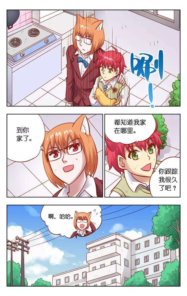 6.jpg