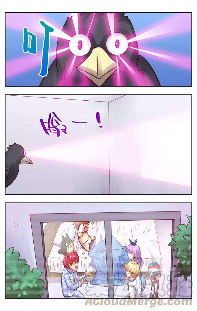 11.jpg