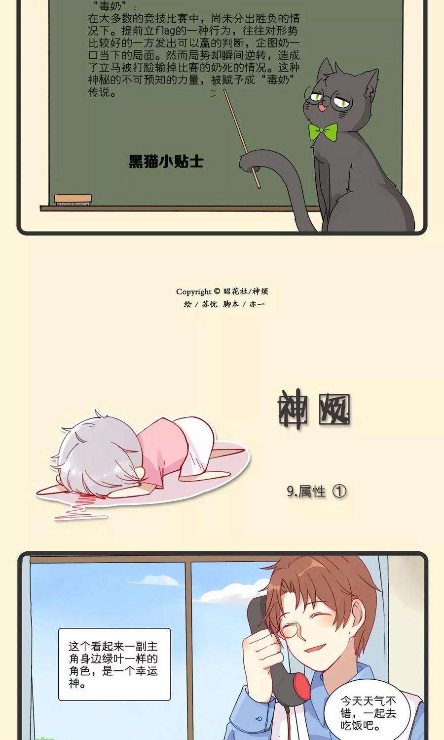 5.jpg