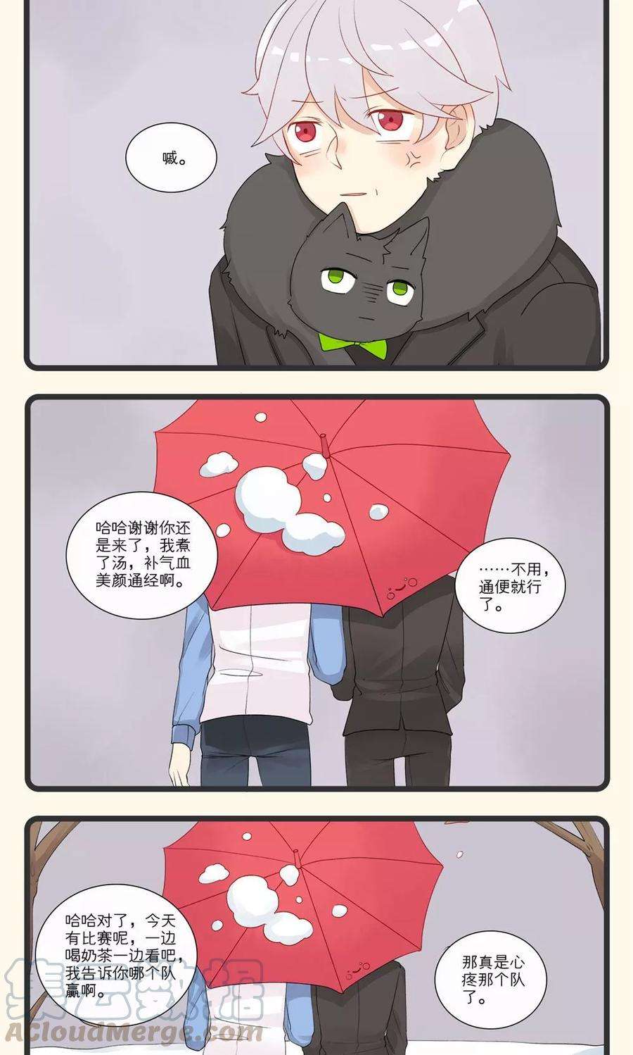 11.jpg