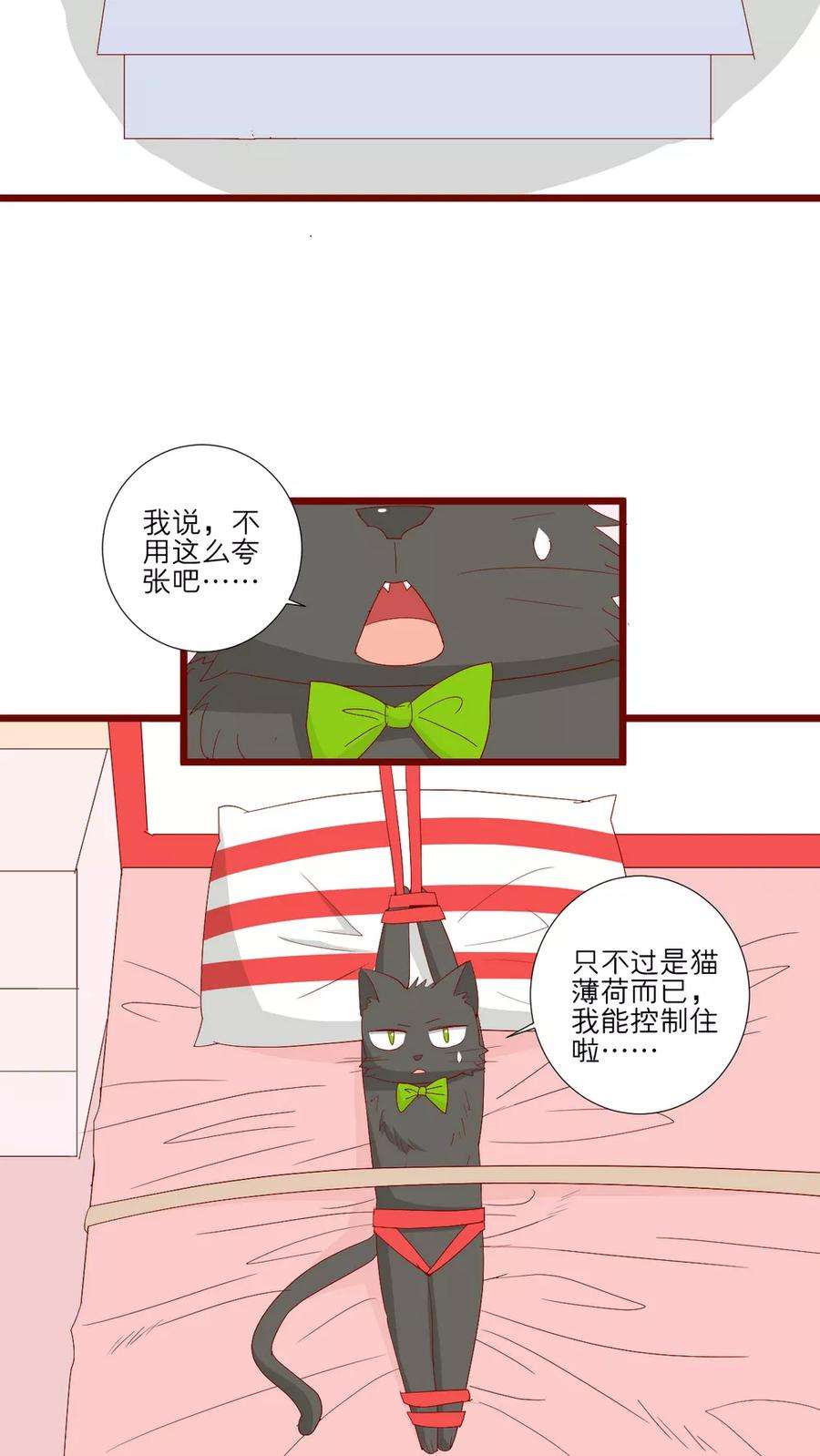 12.jpg
