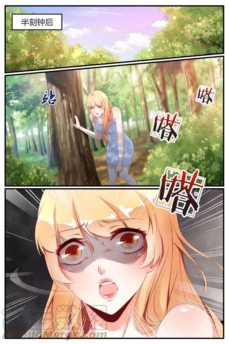 11.jpg
