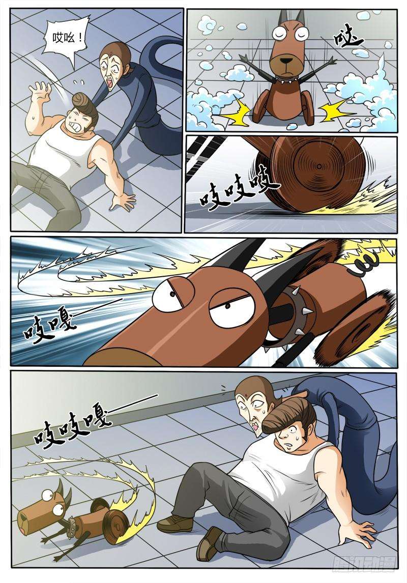 6.jpg