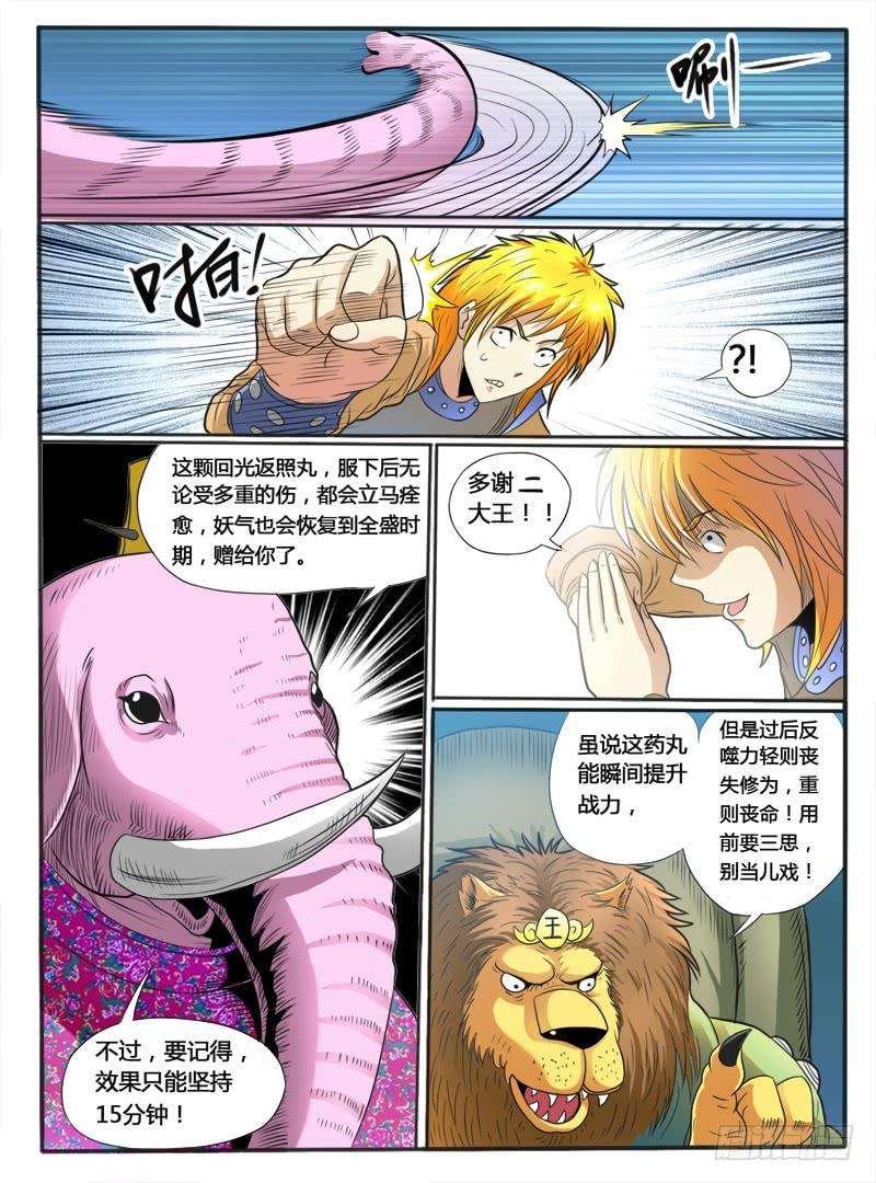 5.jpg
