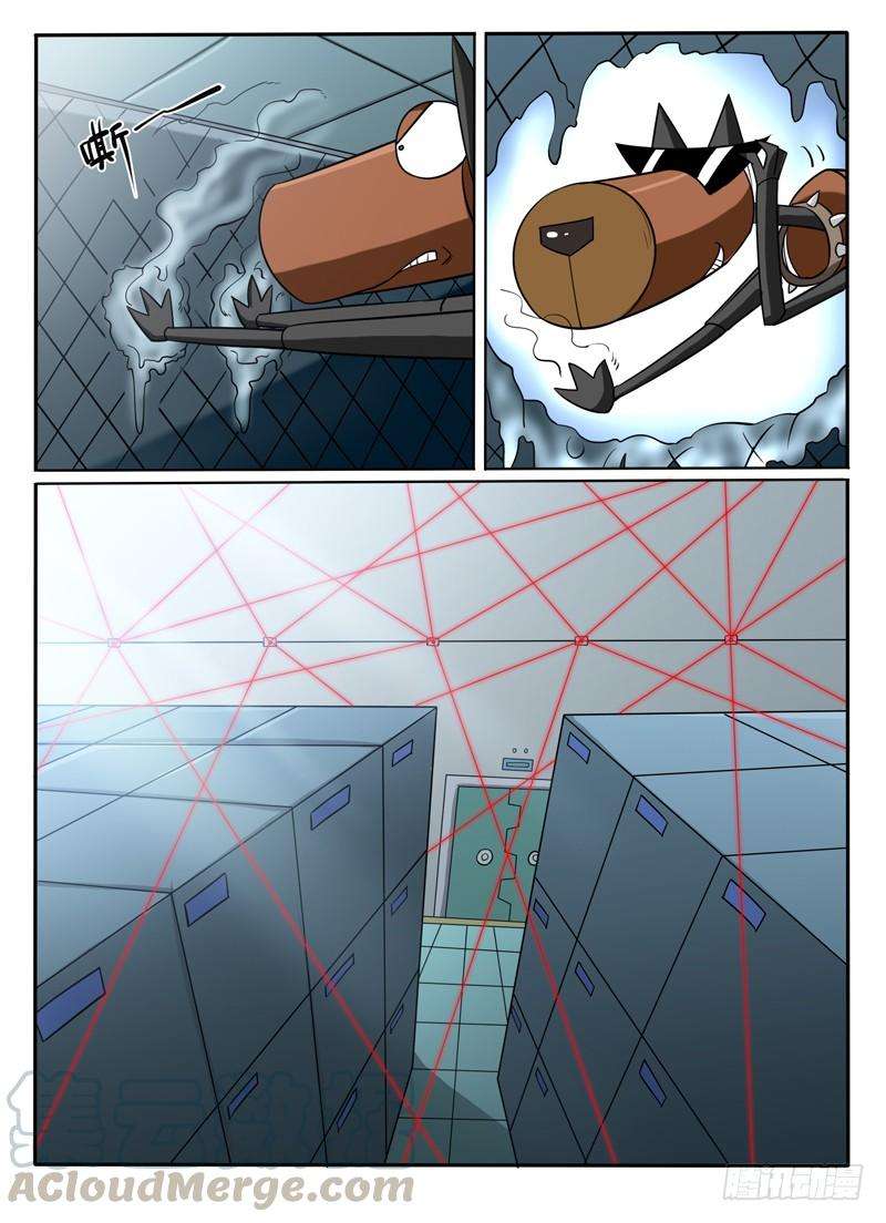 11.jpg
