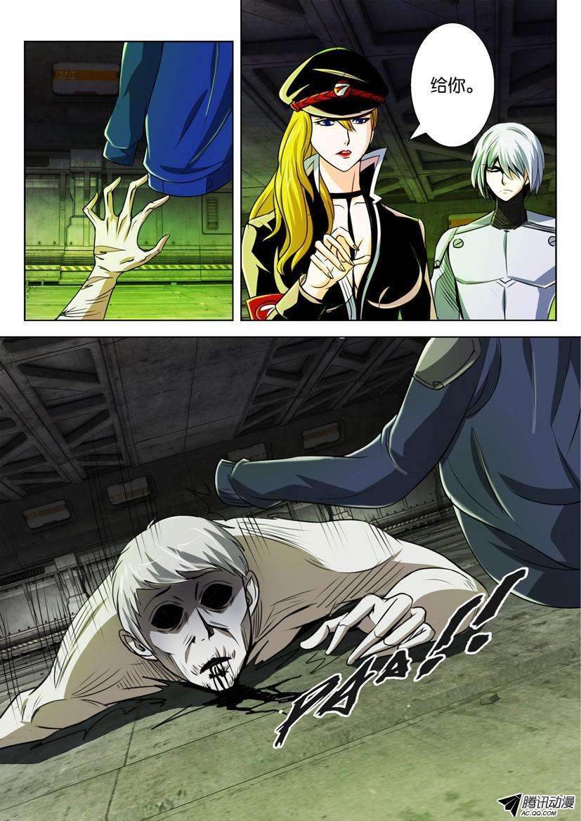 5.jpg