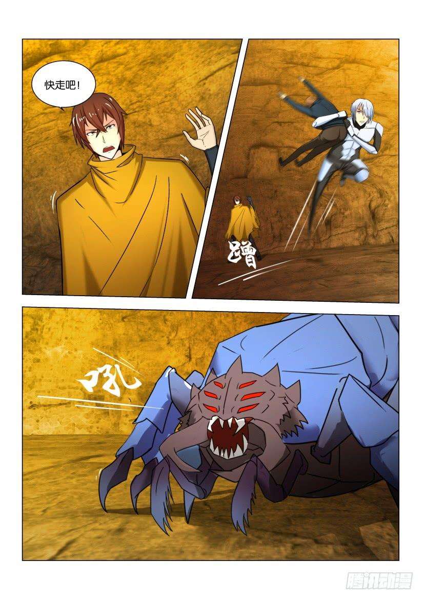 5.jpg