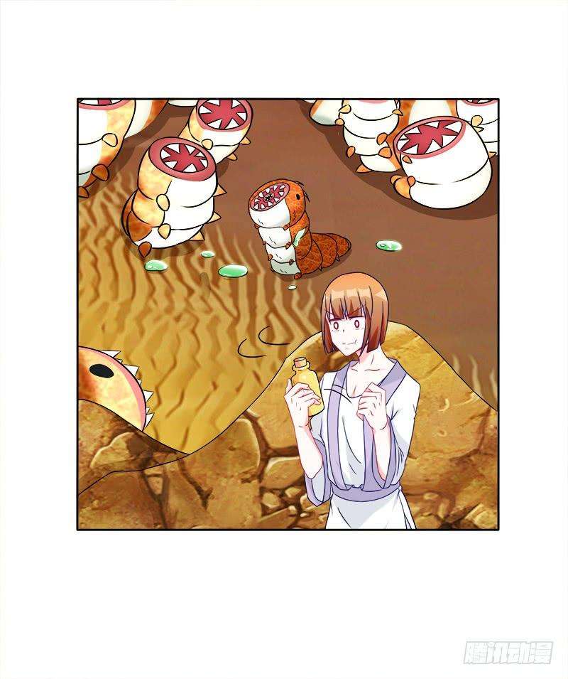 15.jpg
