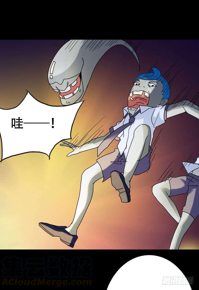 31.jpg