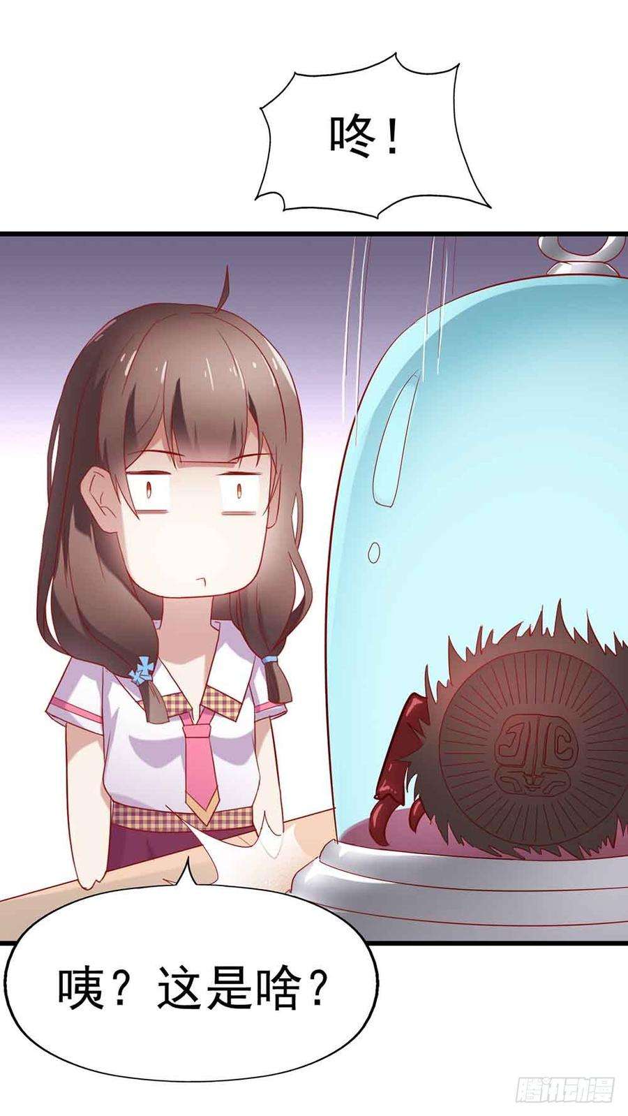 14.jpg