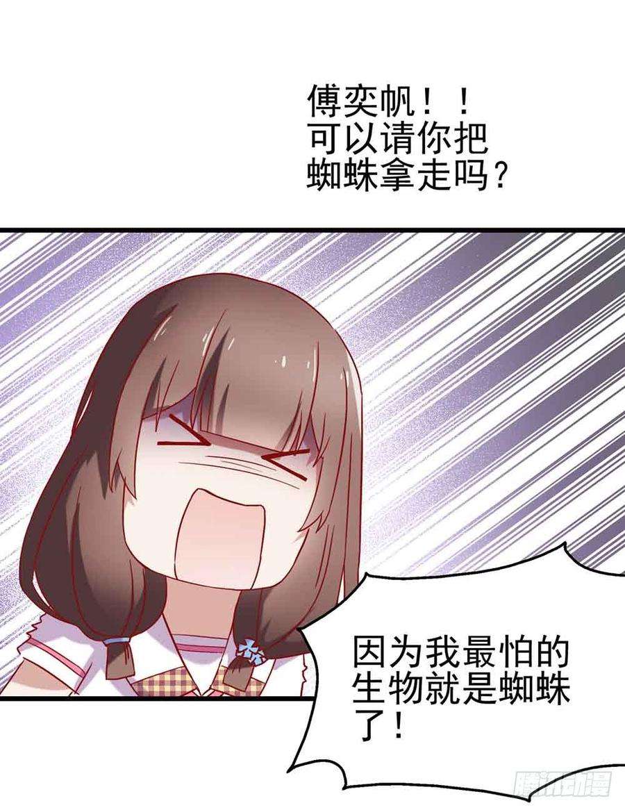 19.jpg