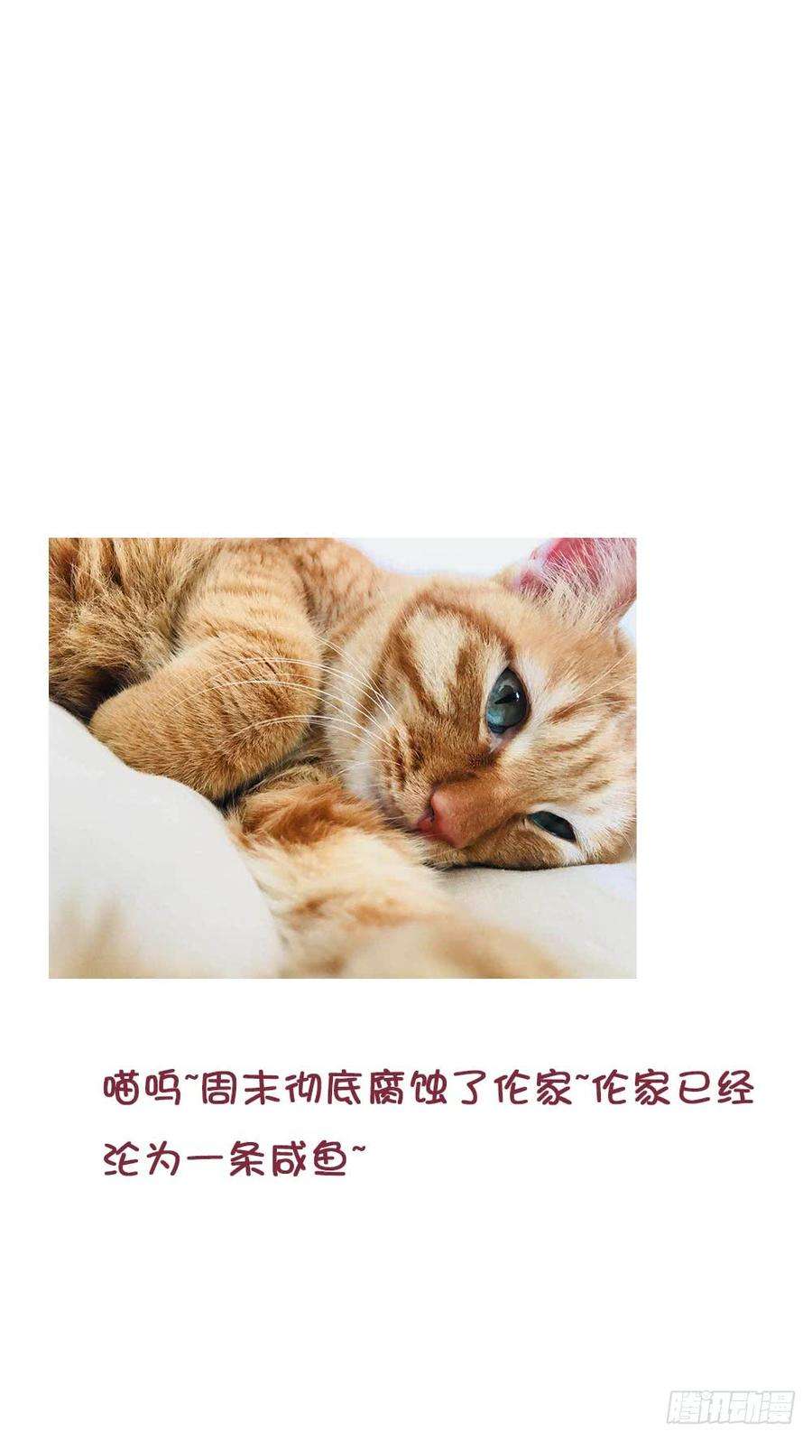 57.jpg