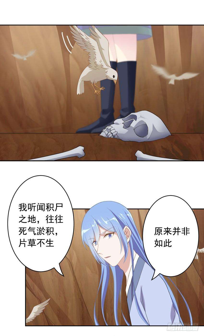 26.jpg