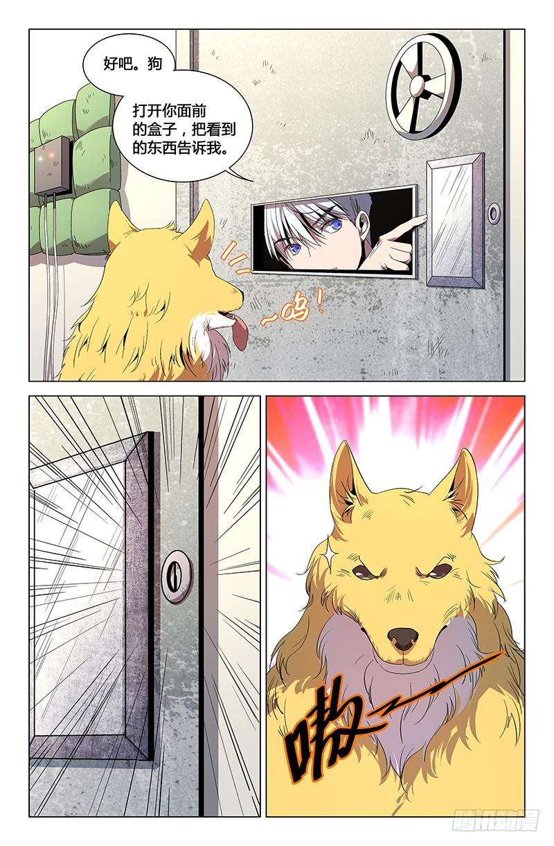 9.jpg