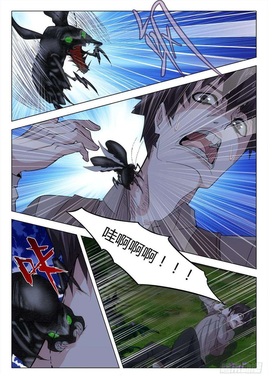 5.jpg