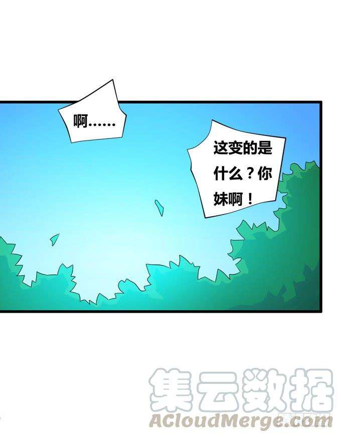 64.jpg