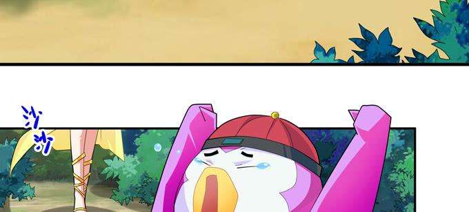41.jpg