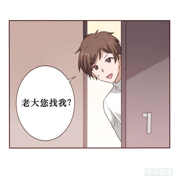 19.jpg