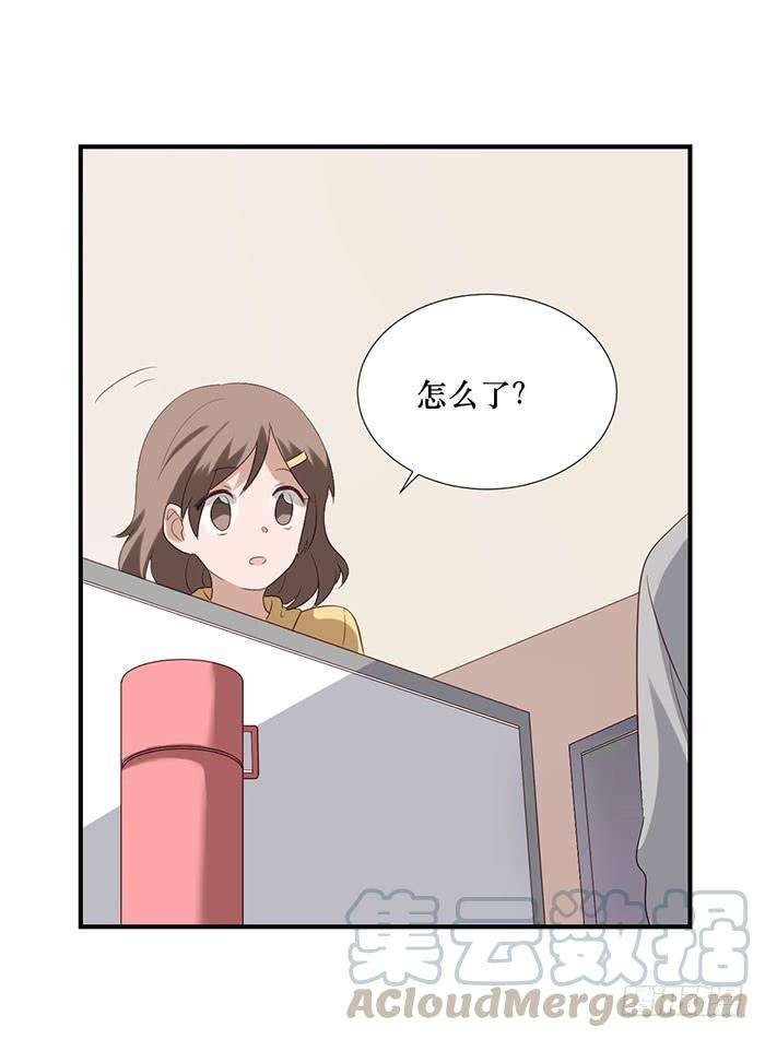 41.jpg