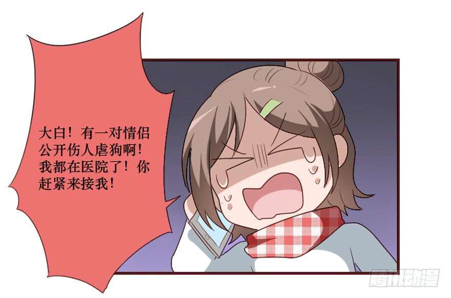 29.jpg