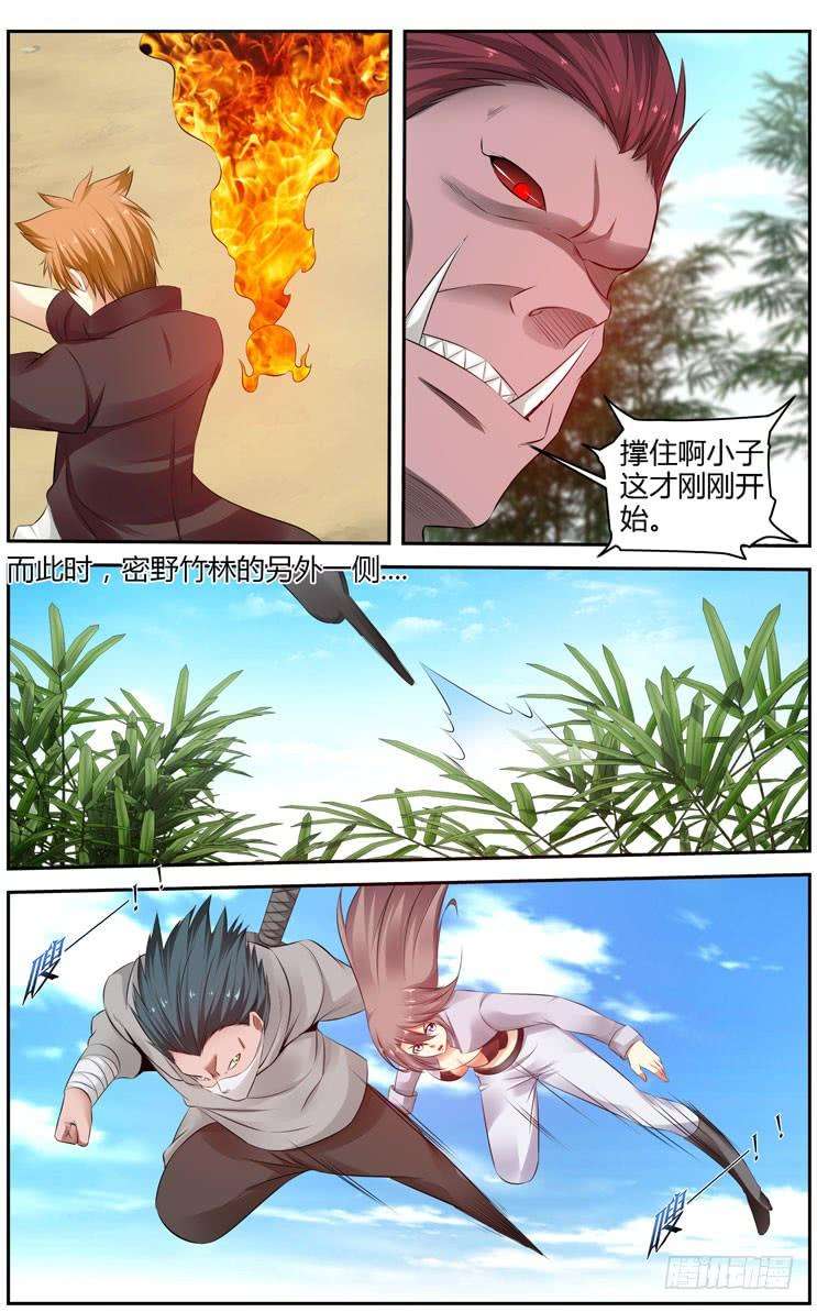 12.jpg