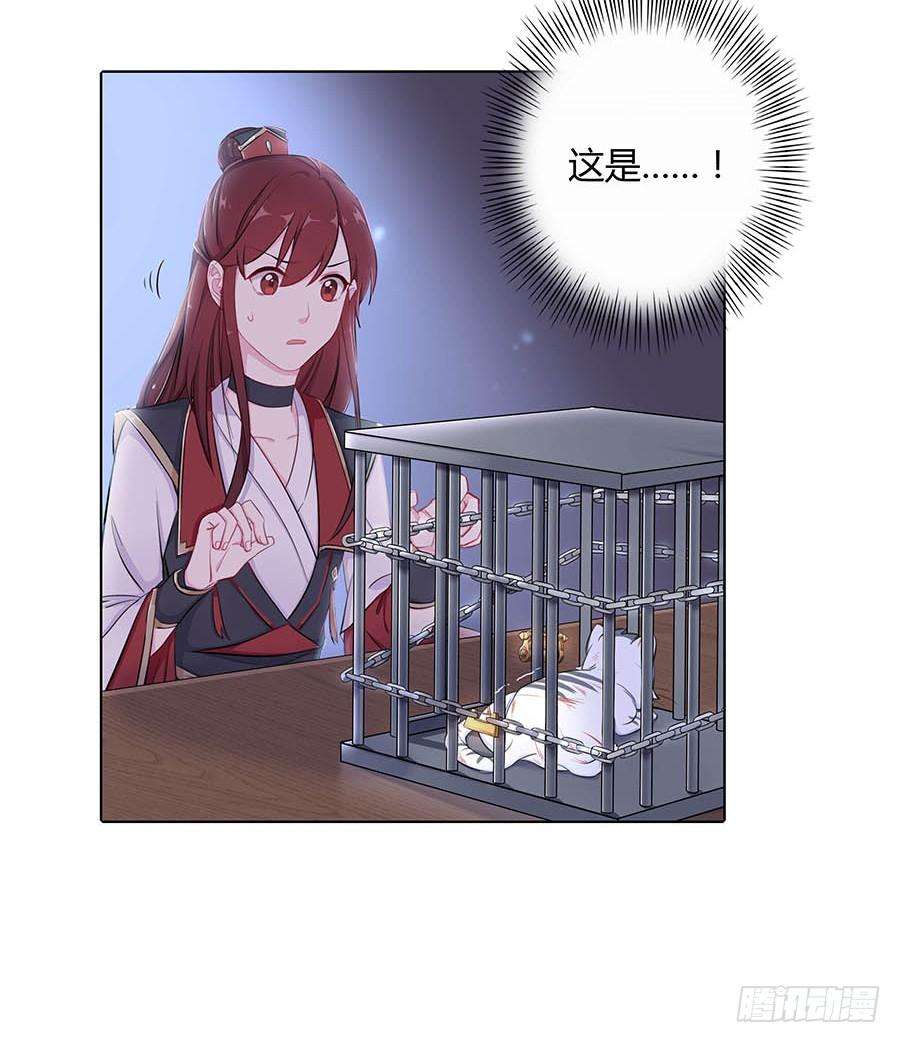 40.jpg