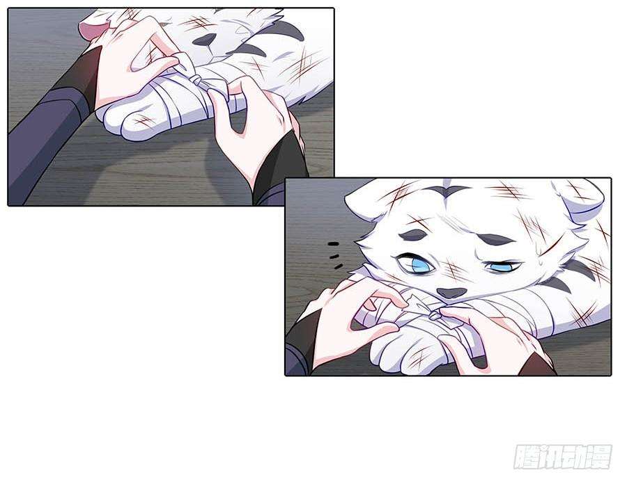 37.jpg