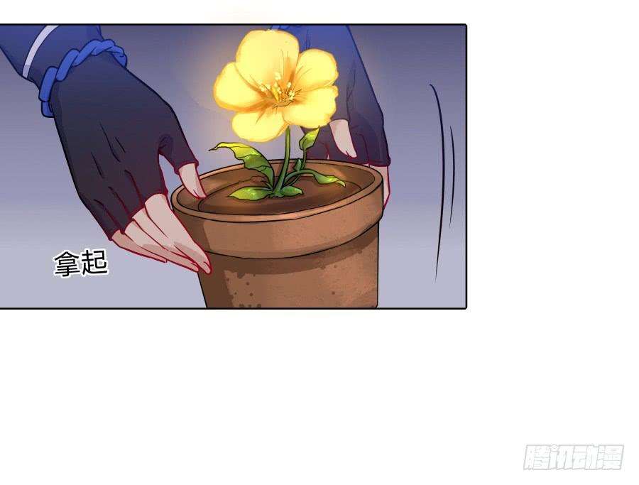 13.jpg