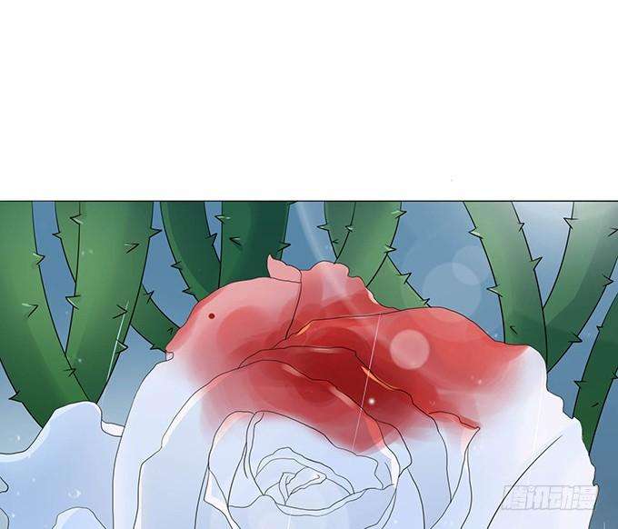 78.jpg